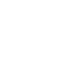 图标